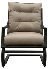 Seasonal Trends MS42003-C Spring Lounge Chair, 33.9 in W, 28.9 in D, 39.8 in H, Aluminum Seat, Aluminum Frame